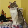 Отзыв от Лия Филимонова